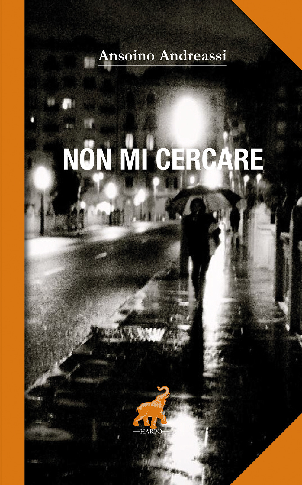 LIBRI: NON MI CERCARE