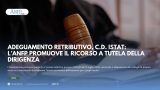 ADEGUAMENTO RETRIBUTIVO, C.D. ISTAT: L’ANFP PROMUOVE IL RICORSO A TUTELA DELLA DIRIGENZA
