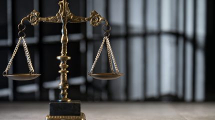SEGUITO OSSERVAZIONI DISEGNO DI LEGGE ORDINAMENTO ORGANIZZAZIONE E FUNZIONAMENTO FORZE DI POLIZIA