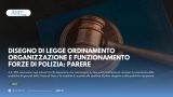 DISEGNO DI LEGGE ORDINAMENTO ORGANIZZAZIONE E FUNZIONAMENTO FORZE DI POLIZIA: PARERE